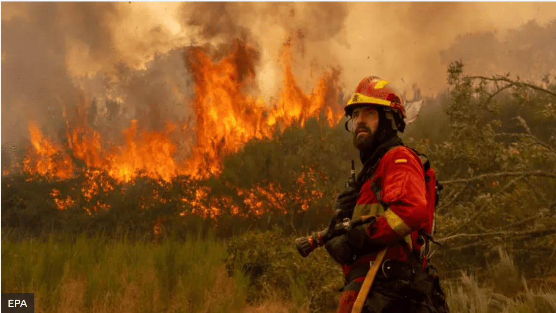Homem é detido após tentar incendiar Horto Florestal de Piripiri